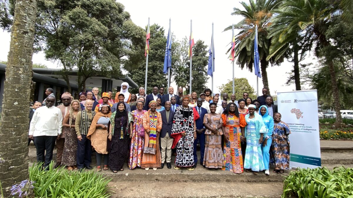 A group of representatives from the African Commission on Human and Peoples' Rights, who are dressed in a range of traditional dress and contemporary suits, gathers outside for a group photo in front of lush trees and flags.