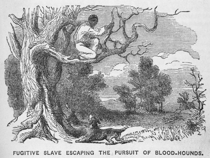 Fugitive slave escaping the pursuit of blood-hounds.